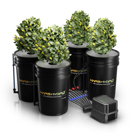 Mars Hydro DWC 4 hidropóniás rendszer