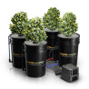 Mars Hydro DWC 4 hidropóniás rendszer
