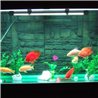 33 LED vízálló világítás az akváriumhoz 59 cm