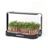 Microgreens termesztő készlet Bentech GreenBoost