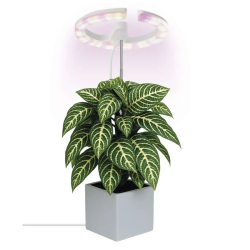 EMOS LED GROW lámpa növények termesztéséhez 8 W, időzítő, állítható fényerő, fehér