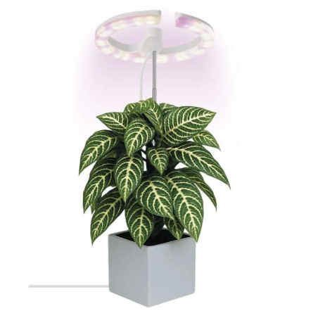 EMOS LED GROW lámpa növények termesztéséhez 8 W, időzítő, állítható fényerő, fehér