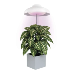 EMOS LED GROW lámpa növénytermesztéshez 5 W, időzítő, fehér