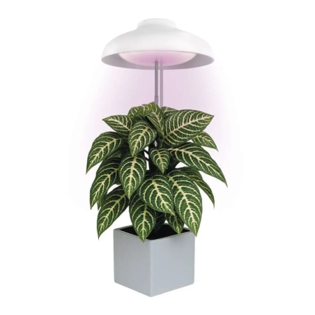 EMOS LED GROW lámpa növénytermesztéshez 5 W, időzítő, fehér