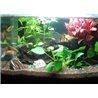 27 LED vízálló világítás az akváriumhoz 49 cm