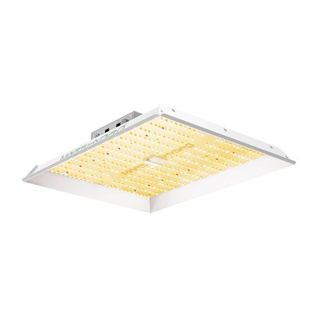 Mars Hydro TS1000 Quantum Board